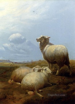 Thomas Sidney Cooper Painting - Ovejas en pasto animales de granja ovejas Thomas Sidney Cooper